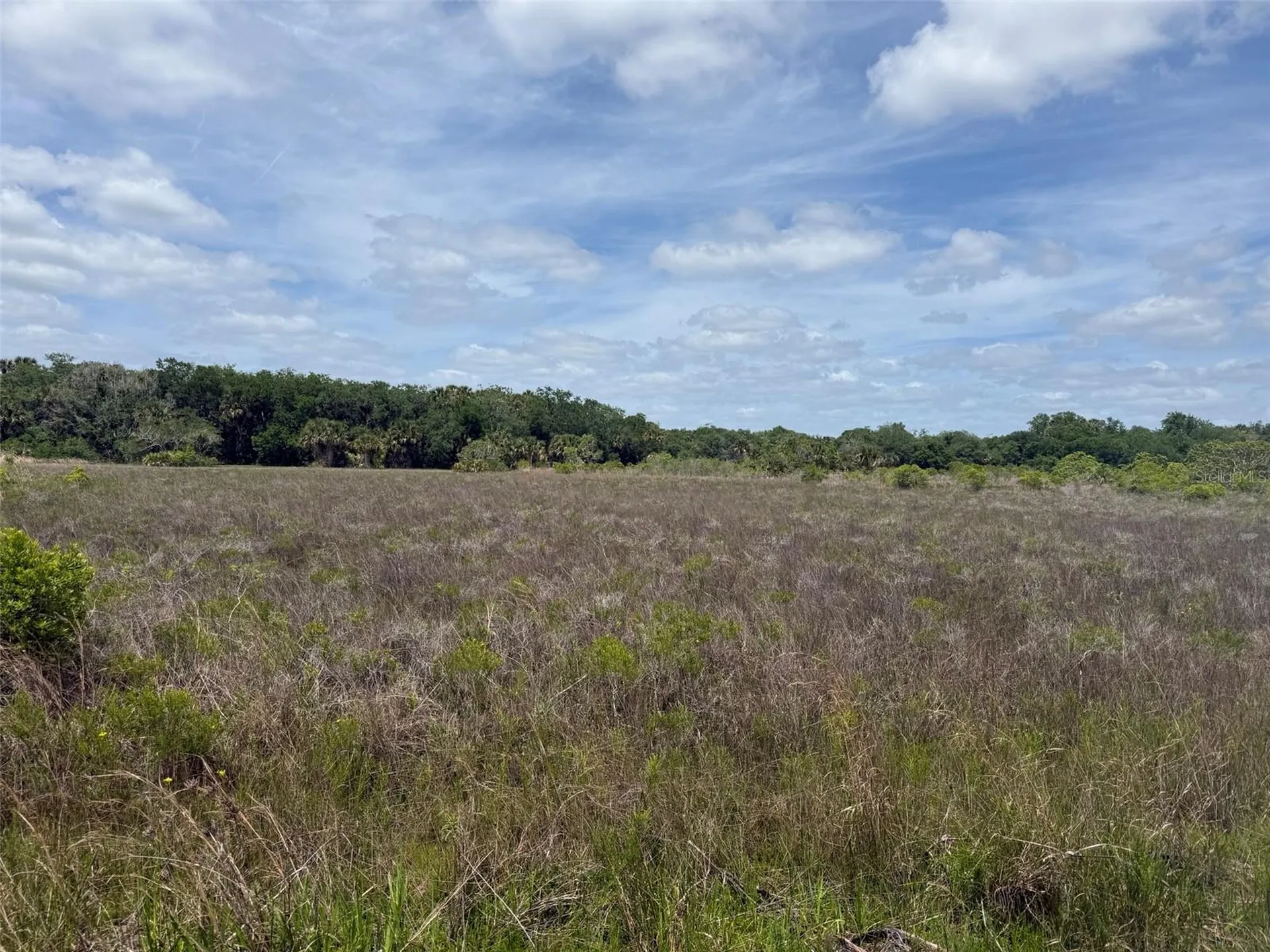 15575 NW 296th Street Okeechobee FL 34972
