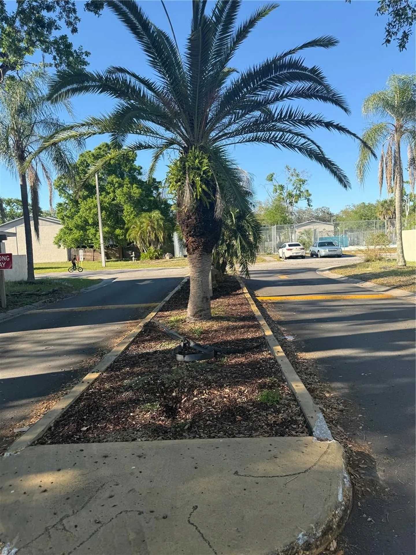 5118 Tennis Court Circle Tampa FL 33617