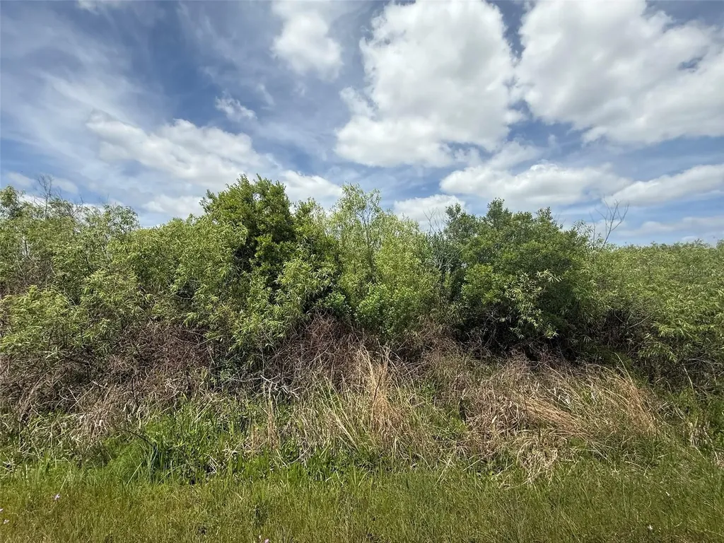 15837 NW 282nd Street Okeechobee FL 34972