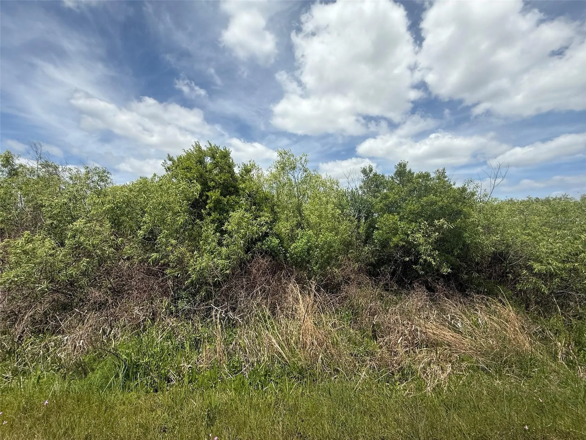 15837 NW 282nd Street Okeechobee FL 34972