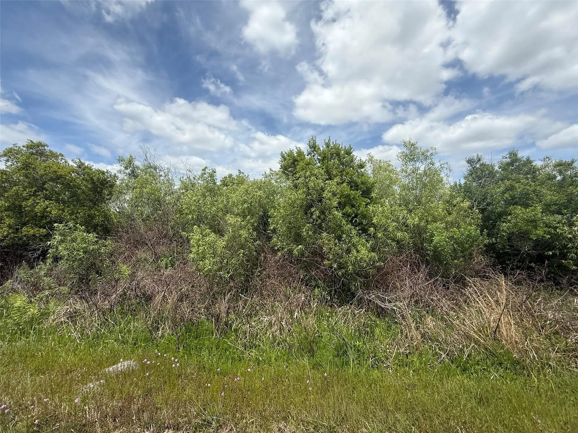 15837 NW 282nd Street Okeechobee FL 34972