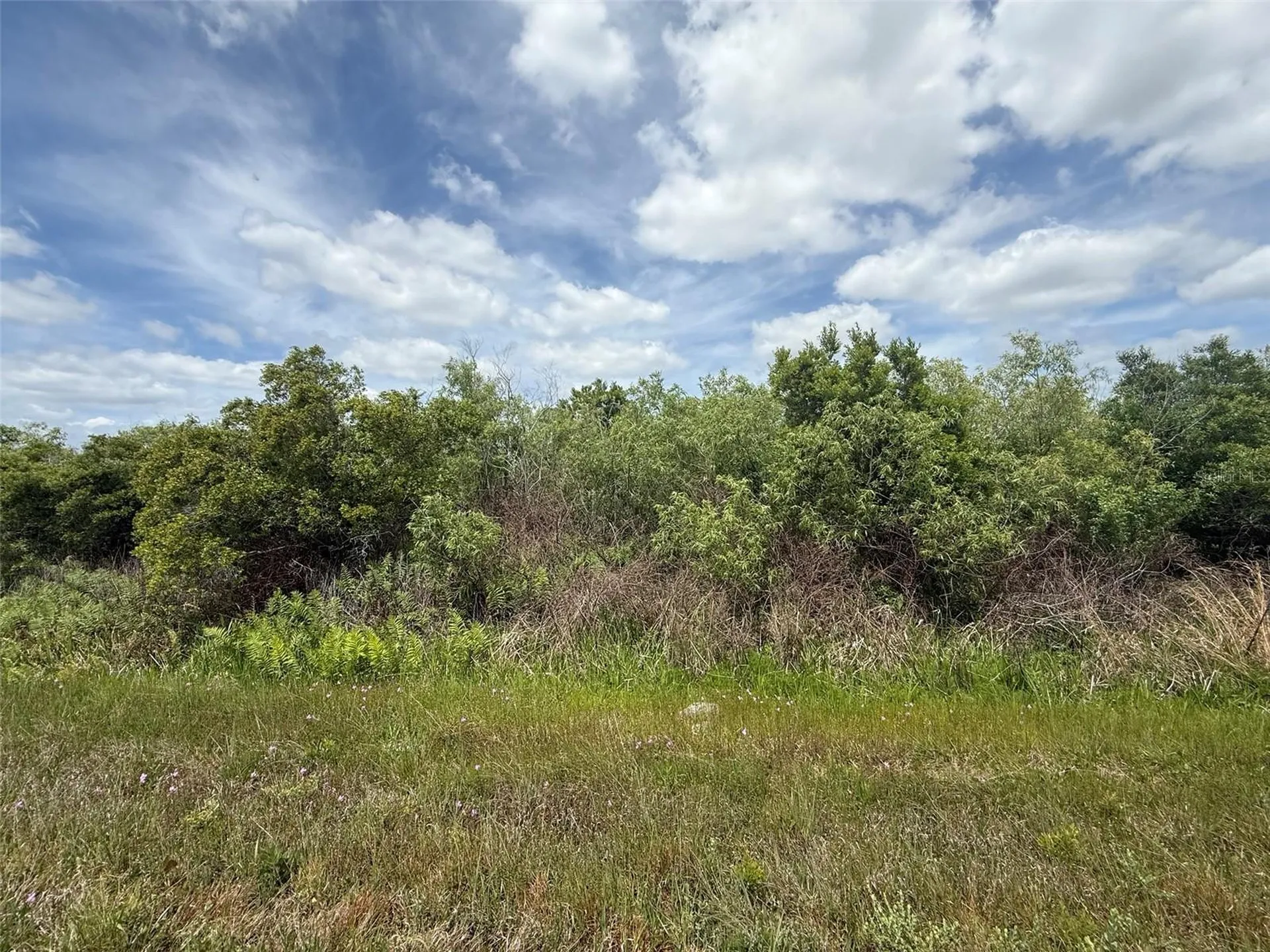 15837 NW 282nd Street Okeechobee FL 34972