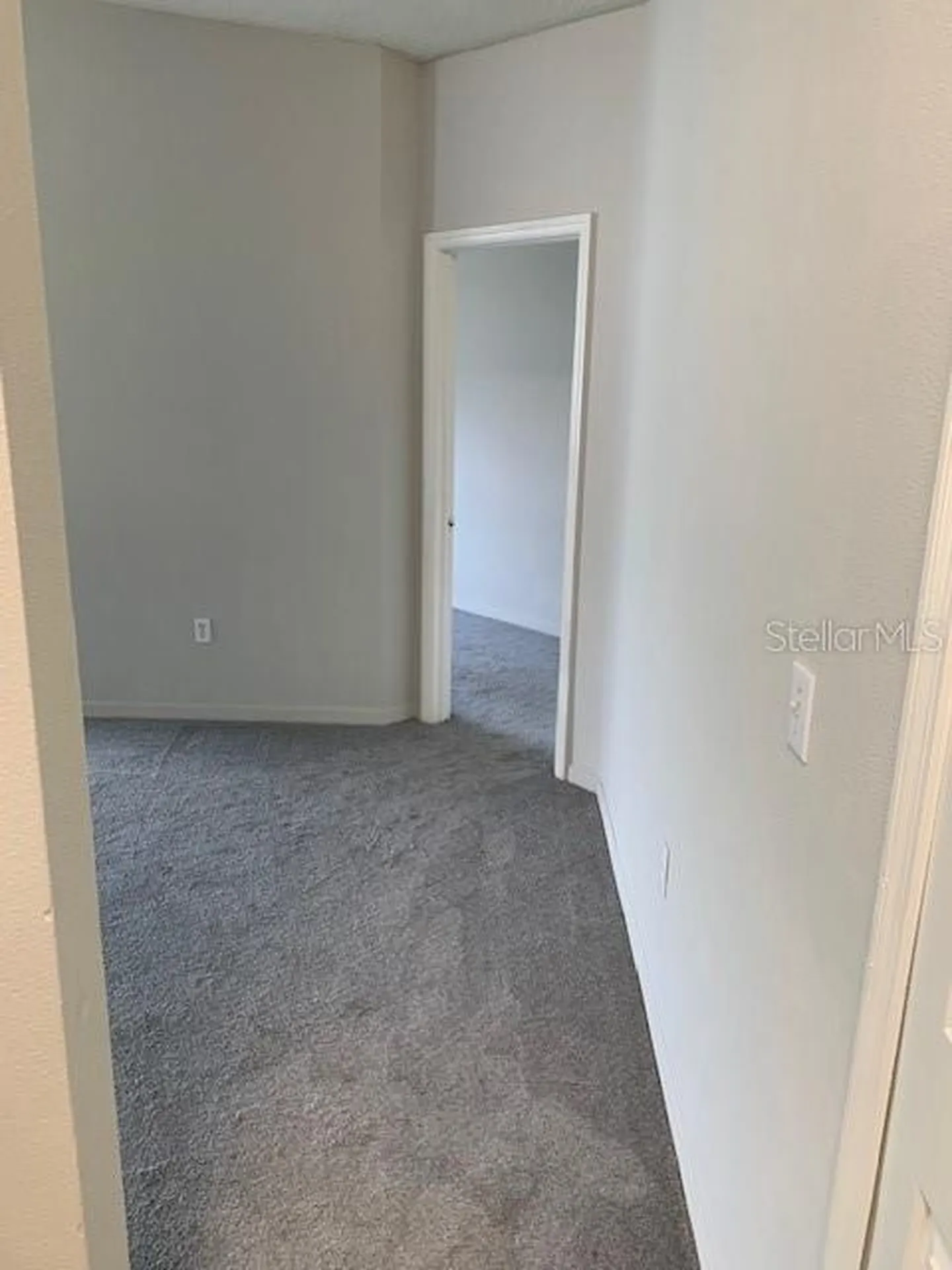 3136 Pine Top Drive Valrico FL 33594