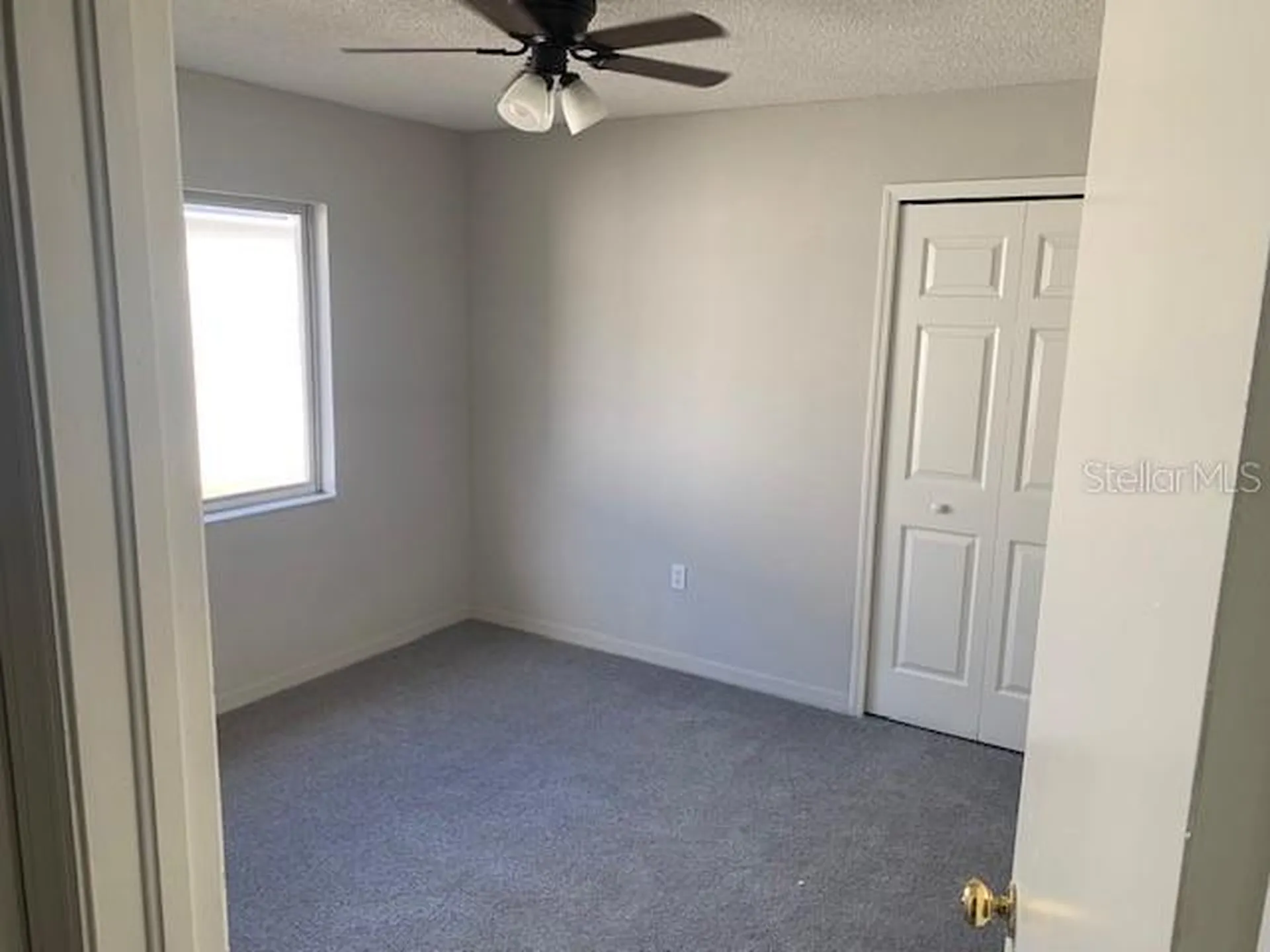 3136 Pine Top Drive Valrico FL 33594