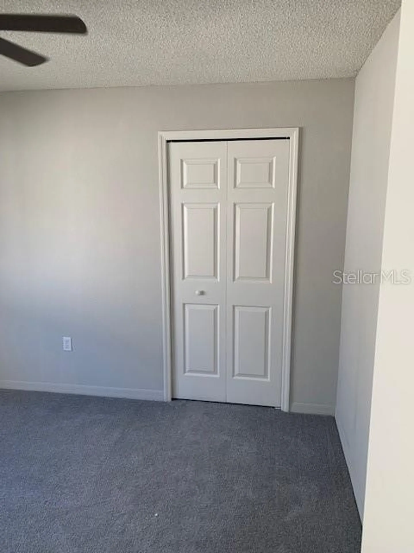 3136 Pine Top Drive Valrico FL 33594