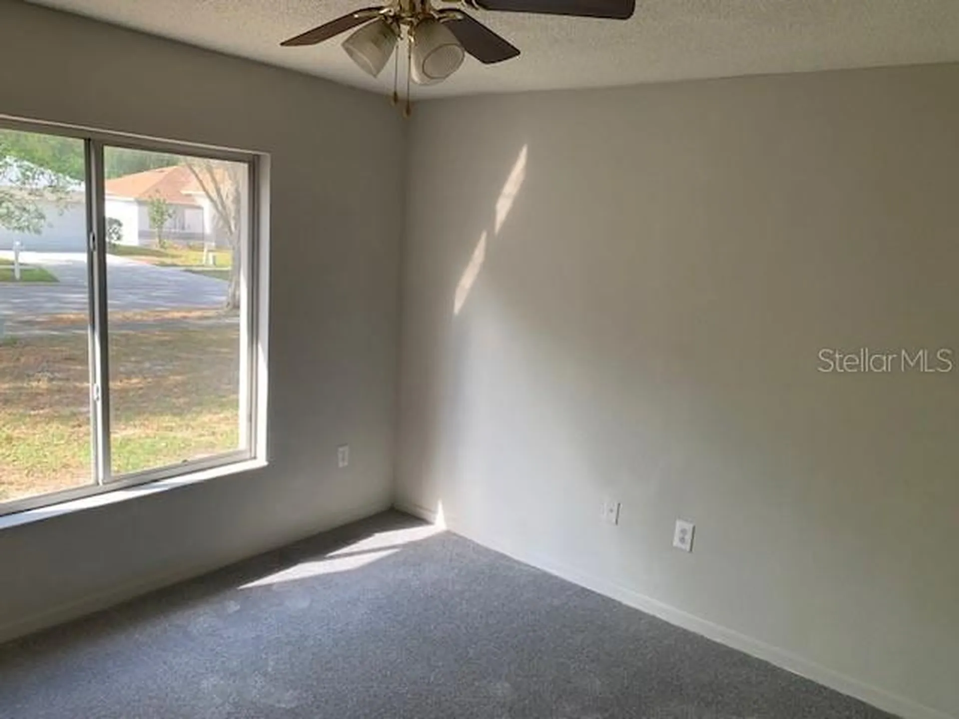 3136 Pine Top Drive Valrico FL 33594