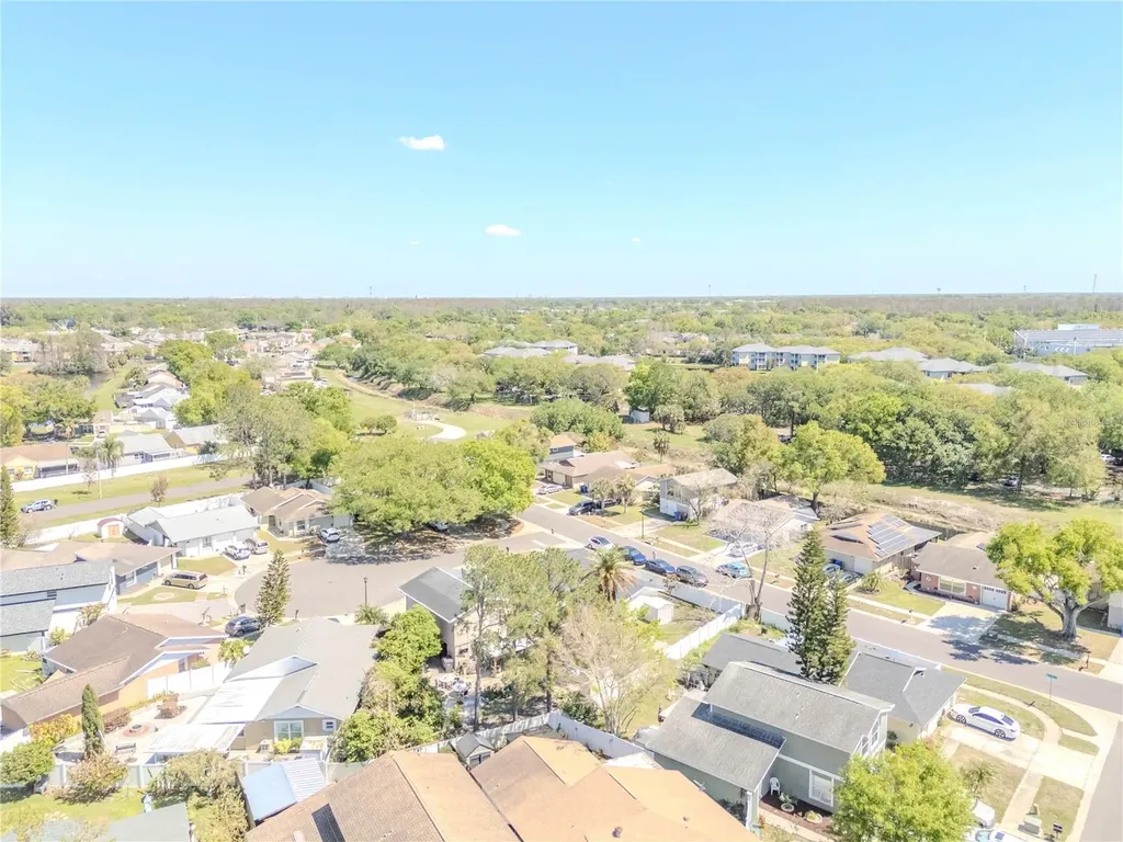 10002 Oakengate Place Tampa FL 33624