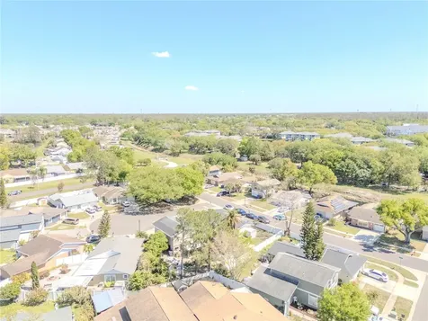 10002 Oakengate Place Tampa FL 33624