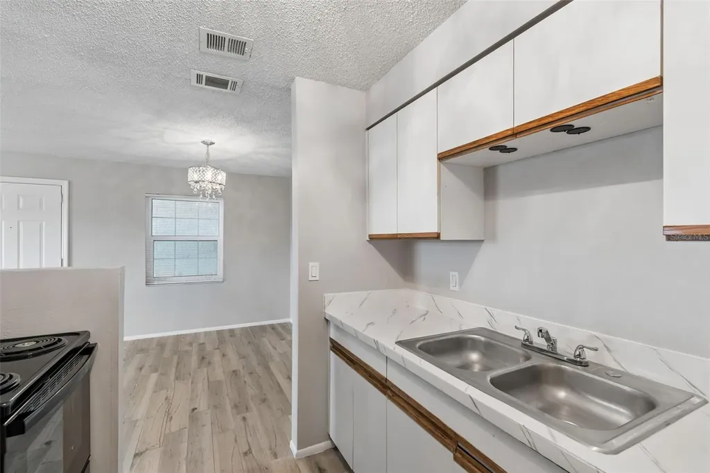4335 Aegean Drive Tampa FL 33611
