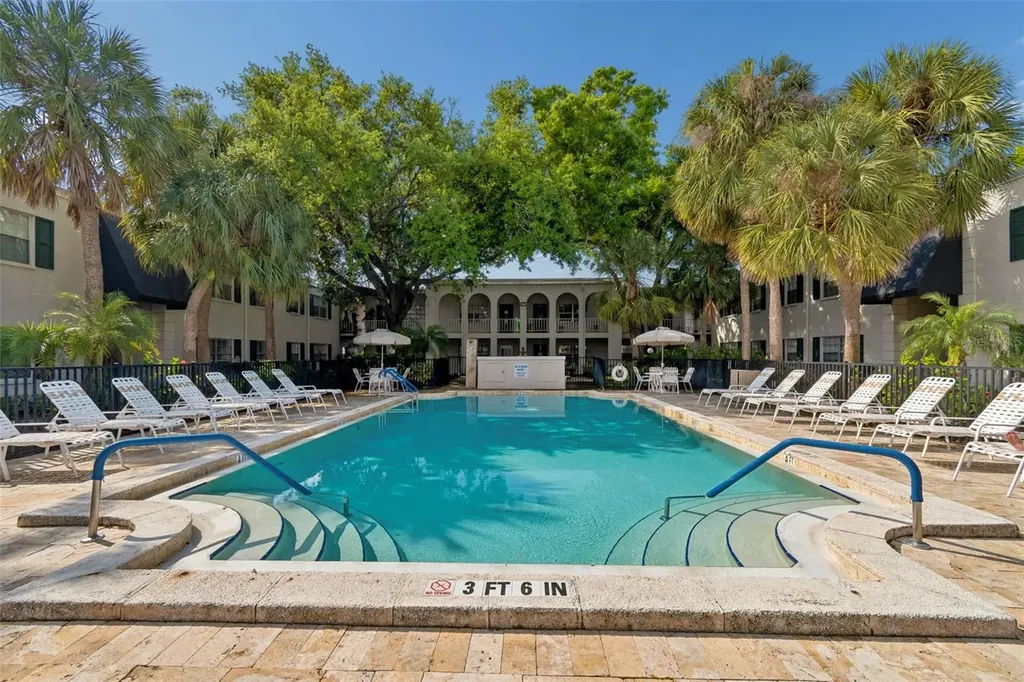4335 Aegean Drive Tampa FL 33611