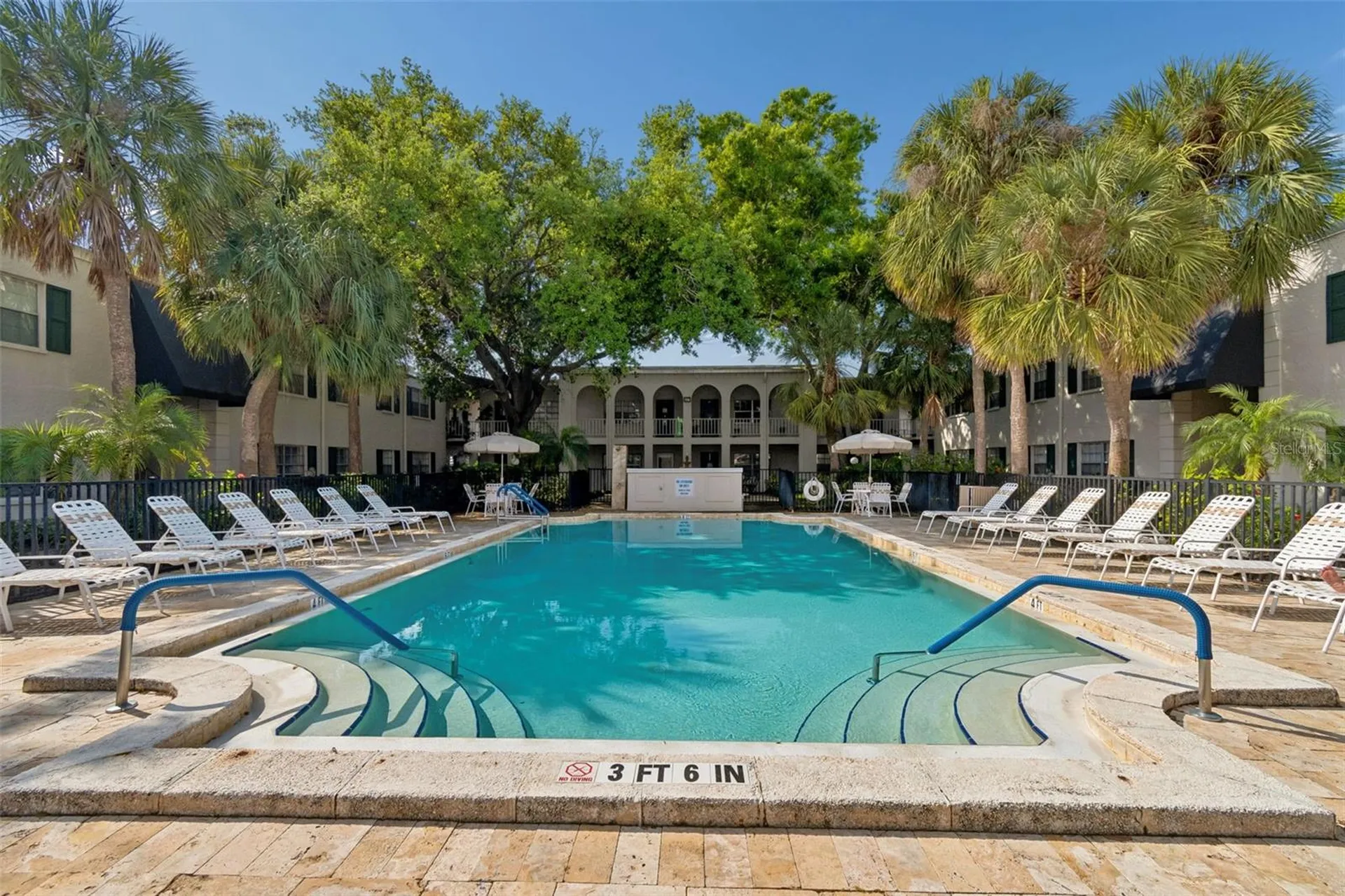 4335 Aegean Drive Tampa FL 33611
