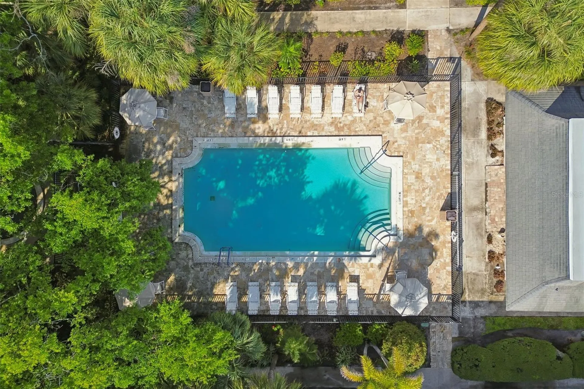 4335 Aegean Drive Tampa FL 33611