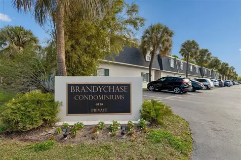 4335 Aegean Drive Tampa FL 33611