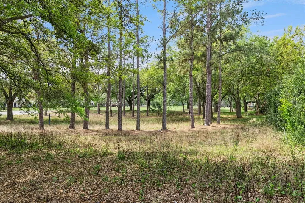 6110 Keenes Pointe Drive Windermere FL 34786