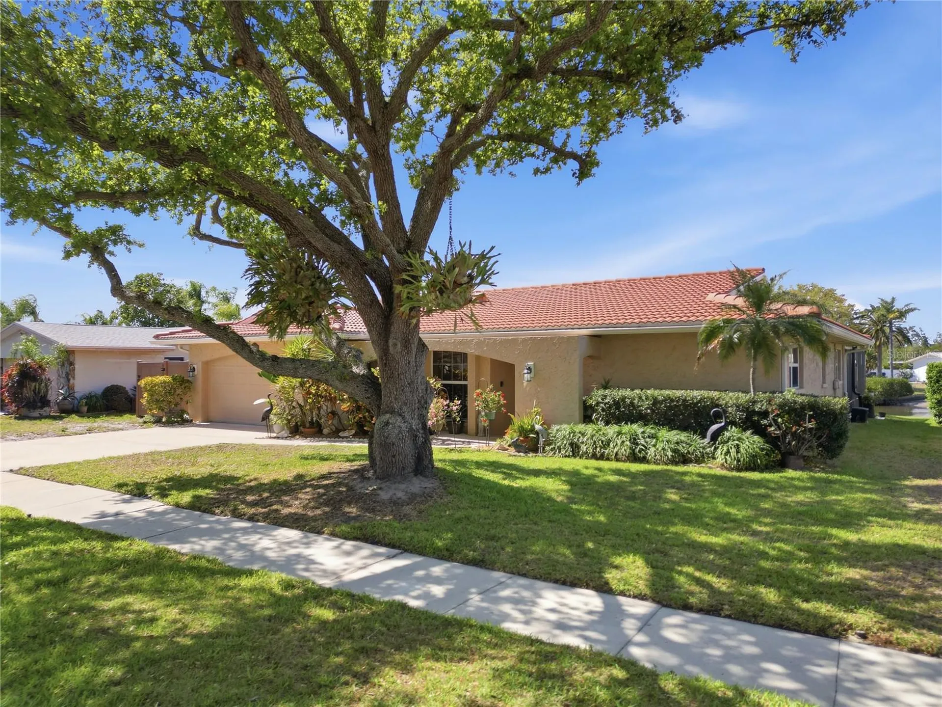 2138 Egret Drive Clearwater FL 33764
