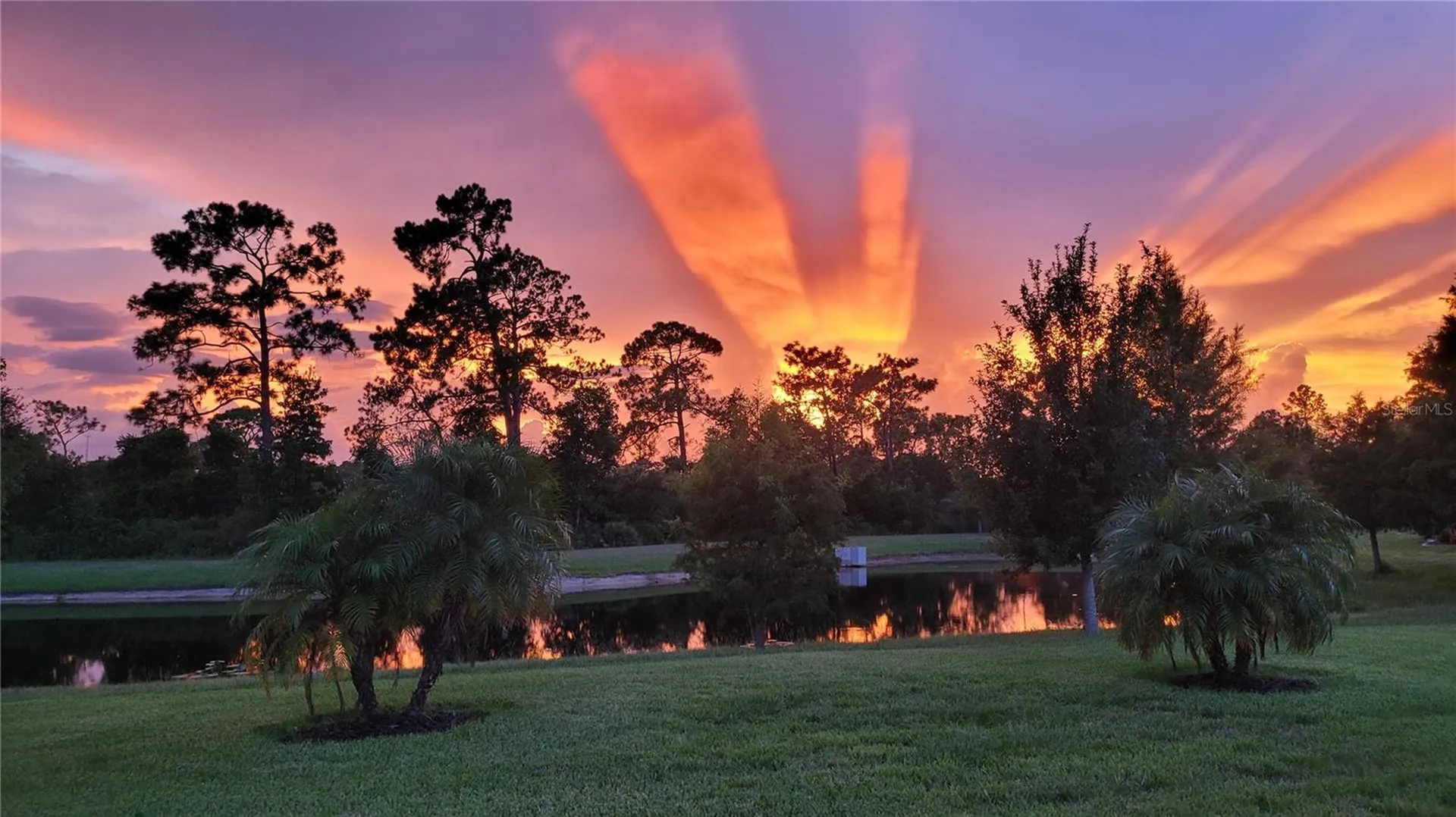 3879 Winged Elm Court Clermont FL 34714