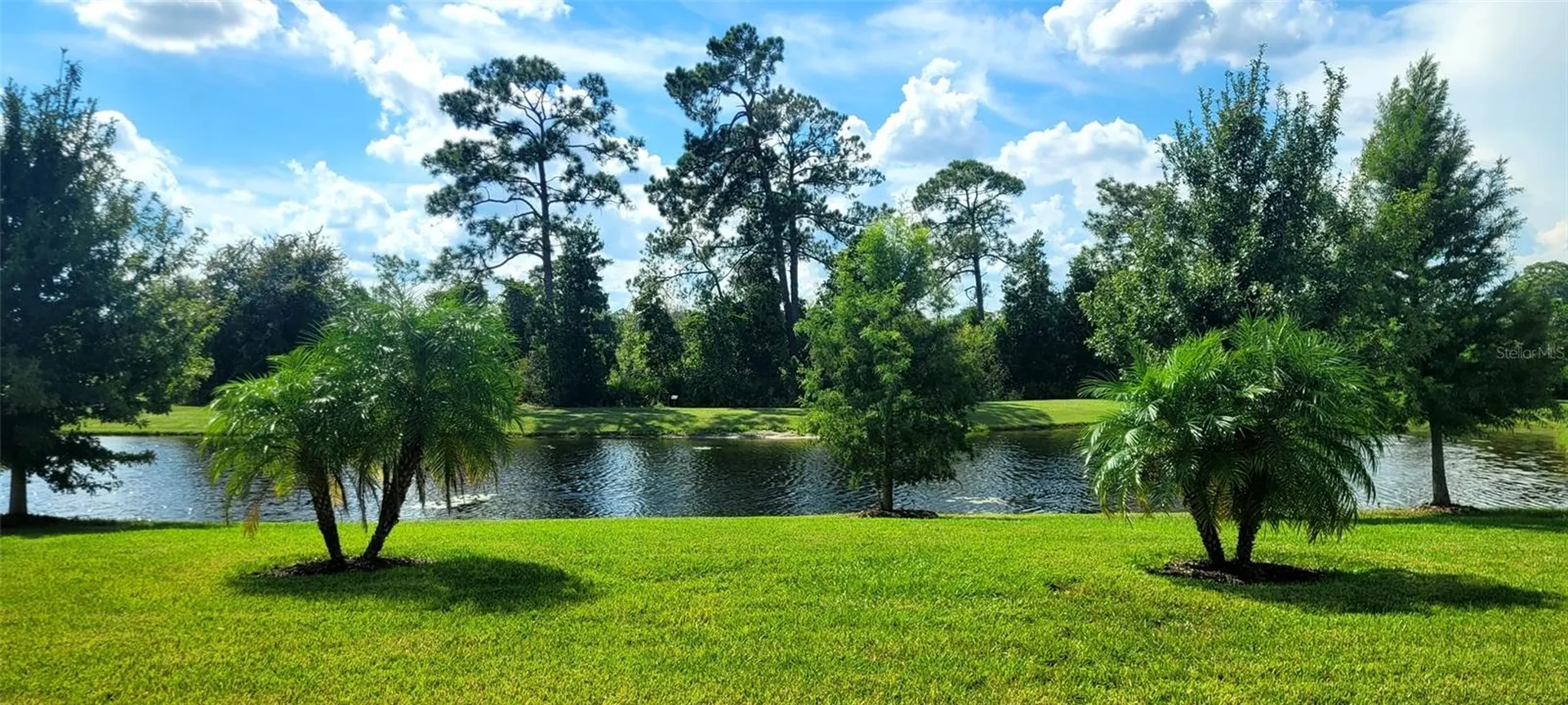 3879 Winged Elm Court Clermont FL 34714