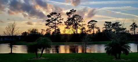 3879 Winged Elm Court Clermont FL 34714