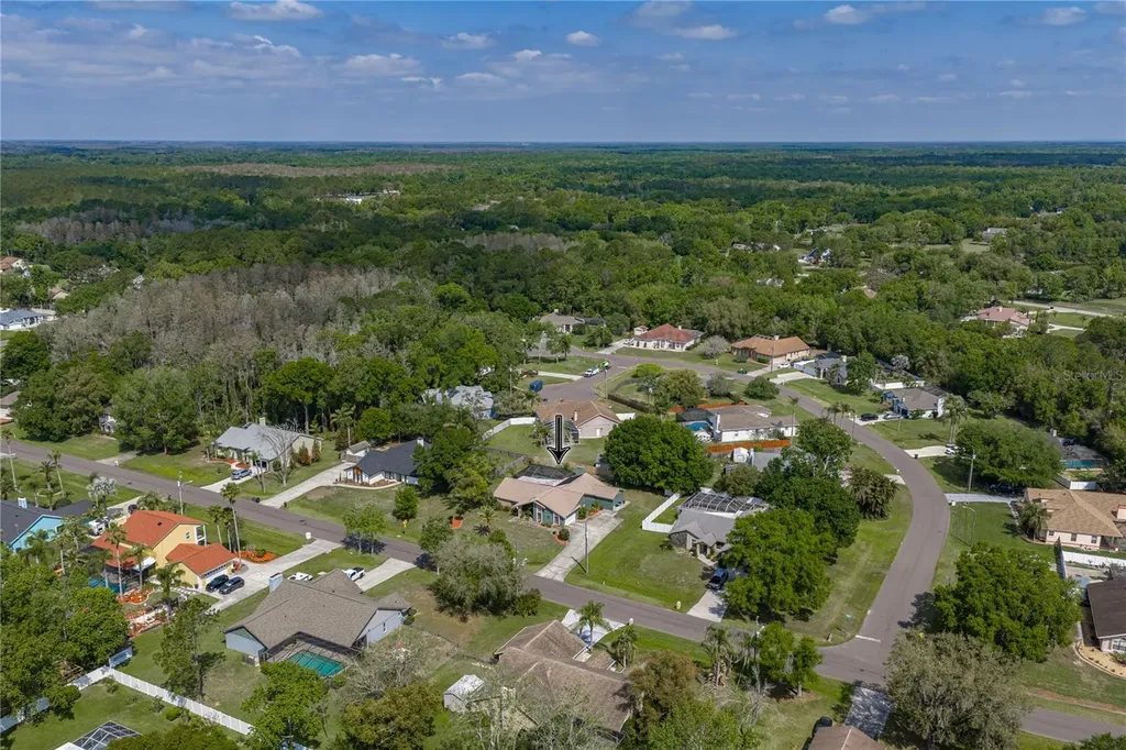 25317 Tradewinds Drive Land O Lakes FL 34639