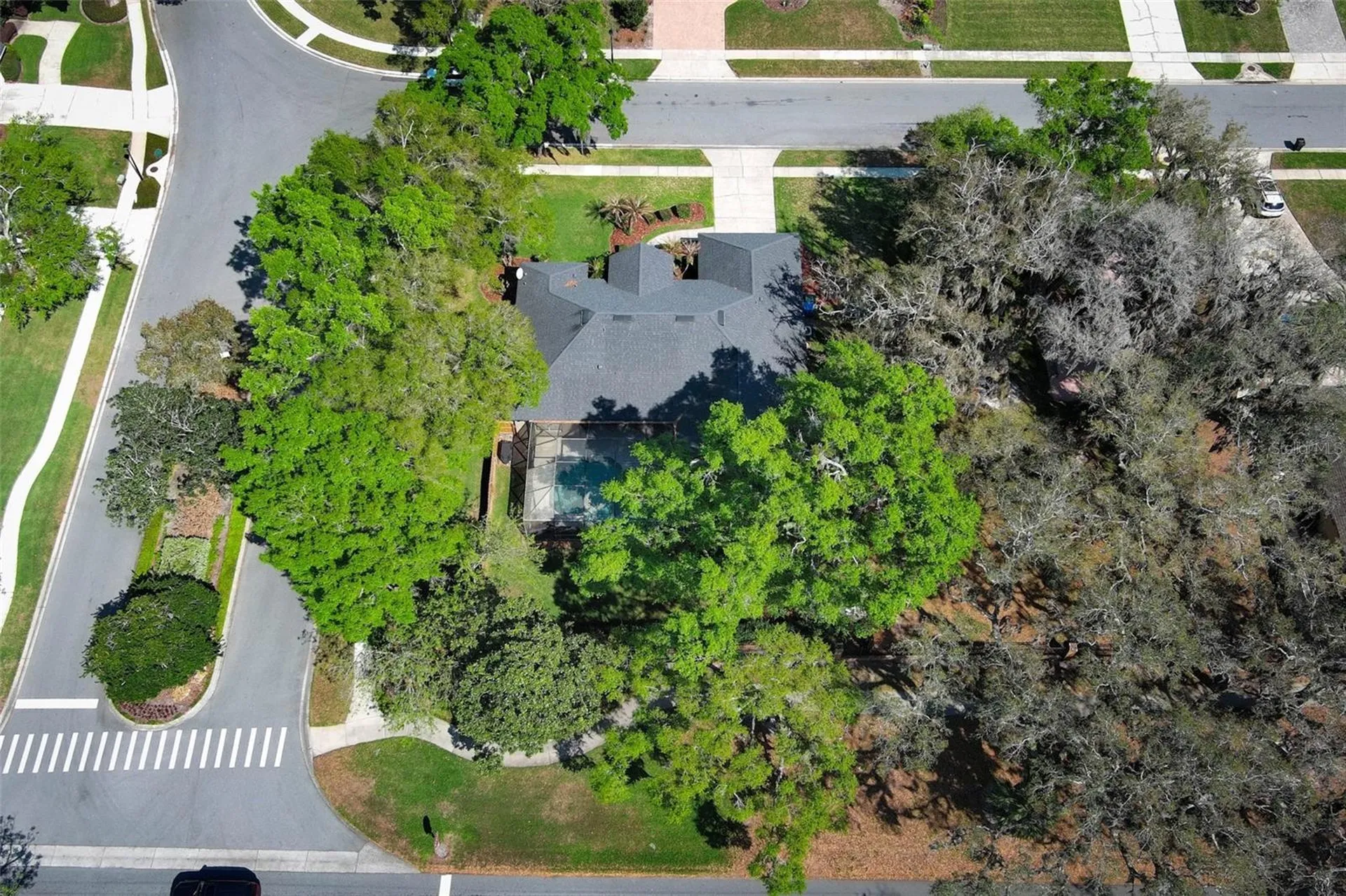 206 Winding Oaks Lane Oviedo FL 32765