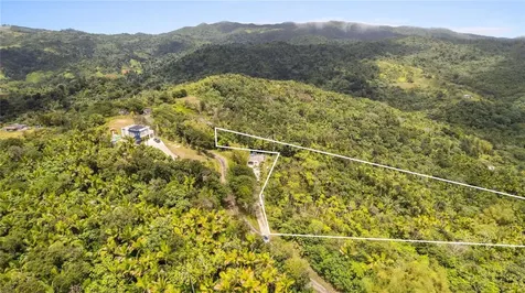 Km 14.7 Carr 179 Guayama PR 00784