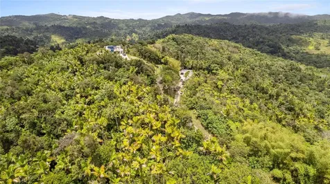 Km 14.7 Carr 179 Guayama PR 00784