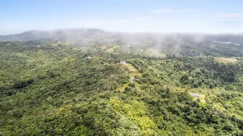 Km 14.7 Carr 179 Guayama PR 00784