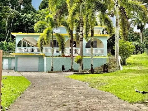 ROAD181 Km10.3 Queb.honda Road 181 Km 10.3 Quebrada Honda San Lorenzo PR 00754