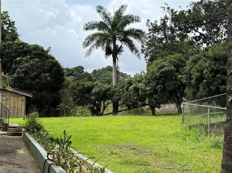 ROAD181 Km10.3 Queb.honda Road 181 Km 10.3 Quebrada Honda San Lorenzo PR 00754