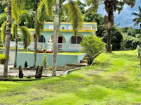 ROAD181 Km10.3 Queb.honda Road 181 Km 10.3 Quebrada Honda San Lorenzo PR 00754