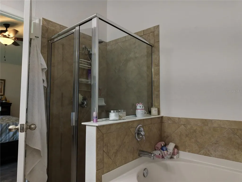 15637 Carina Drive Orlando FL 32828
