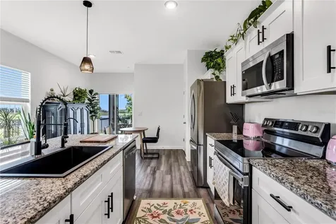 10459 Ladybug Cove Parrish FL 34219