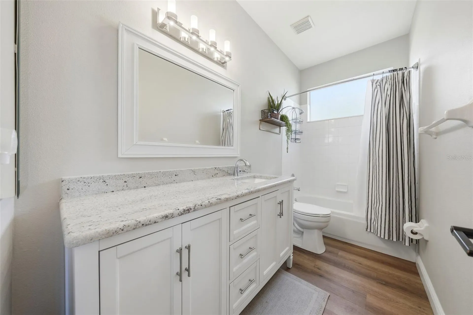 1941 Citrus Court Mount Dora FL 32757