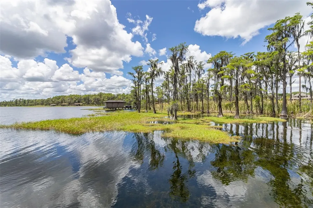 8351 Bowden Way Windermere FL 34786