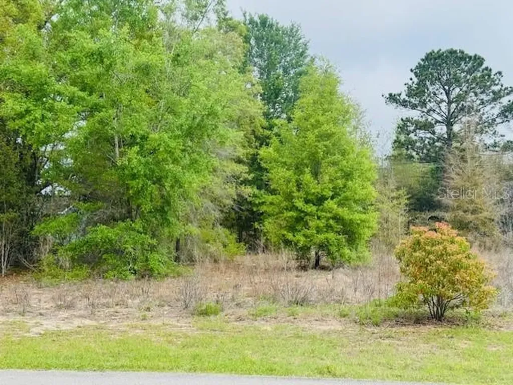 SW 83rd Street Dunnellon FL 34431