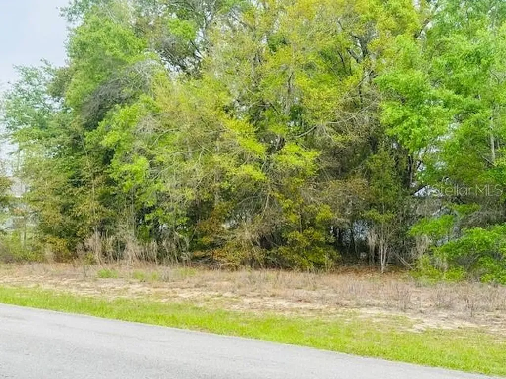 SW 83rd Street Dunnellon FL 34431