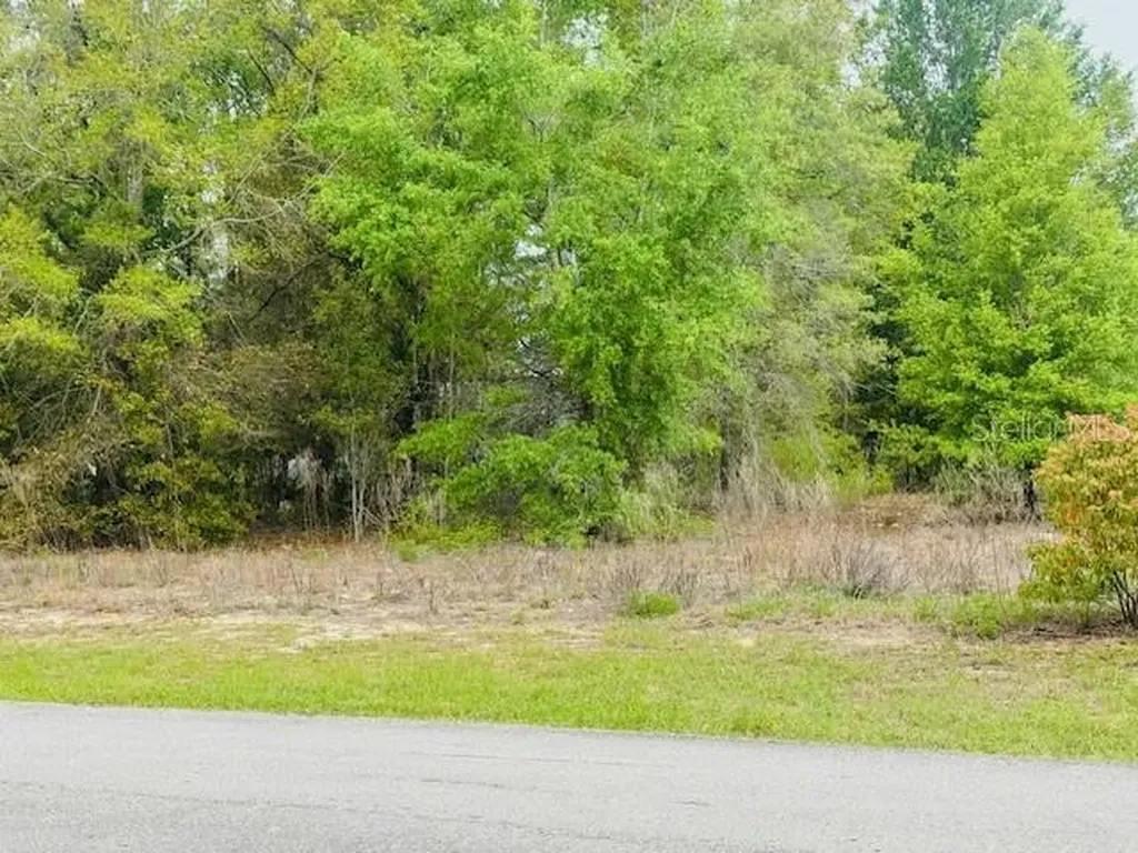 SW 83rd Street Dunnellon FL 34431