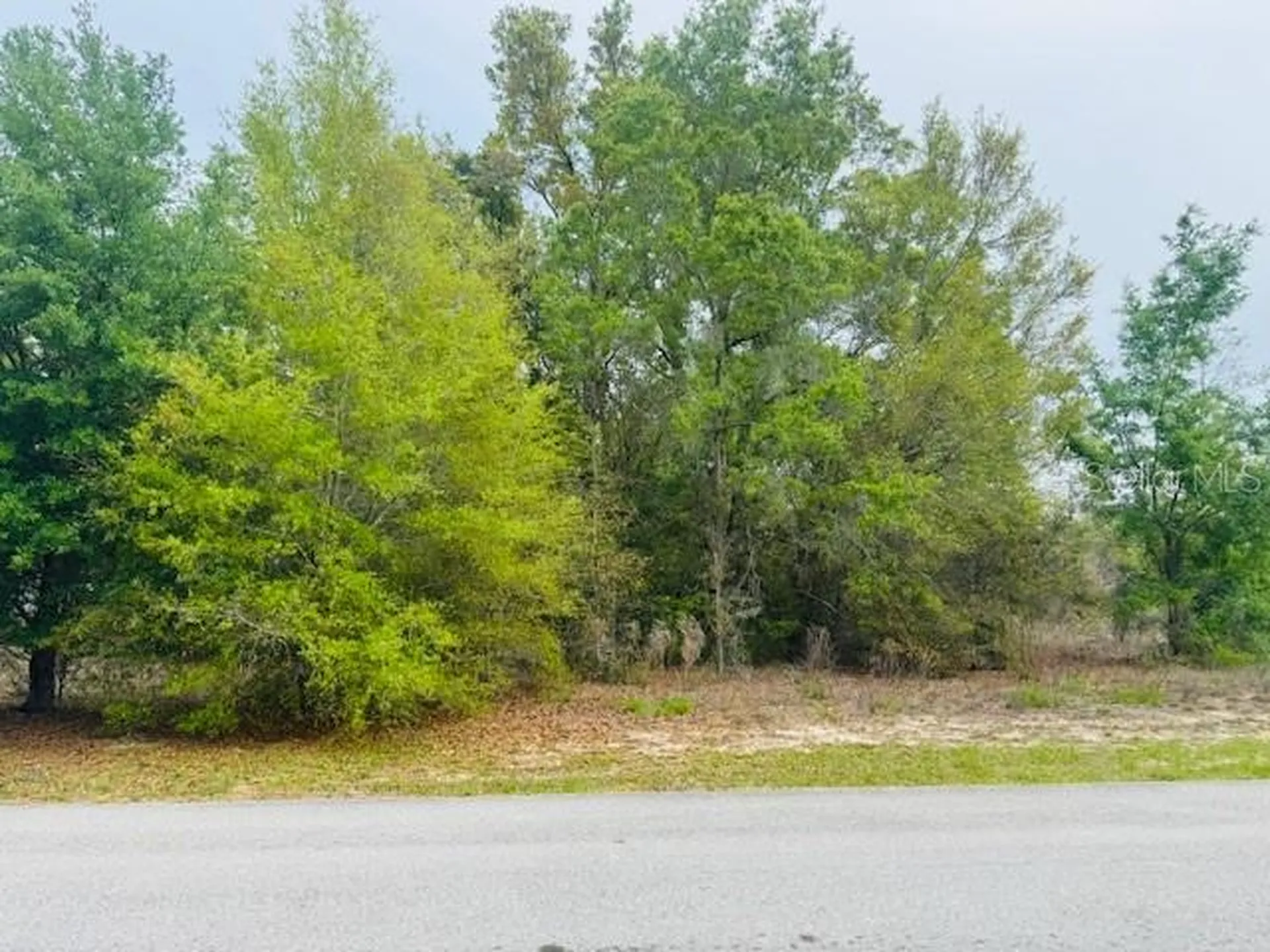 SW 83rd Street Dunnellon FL 34431