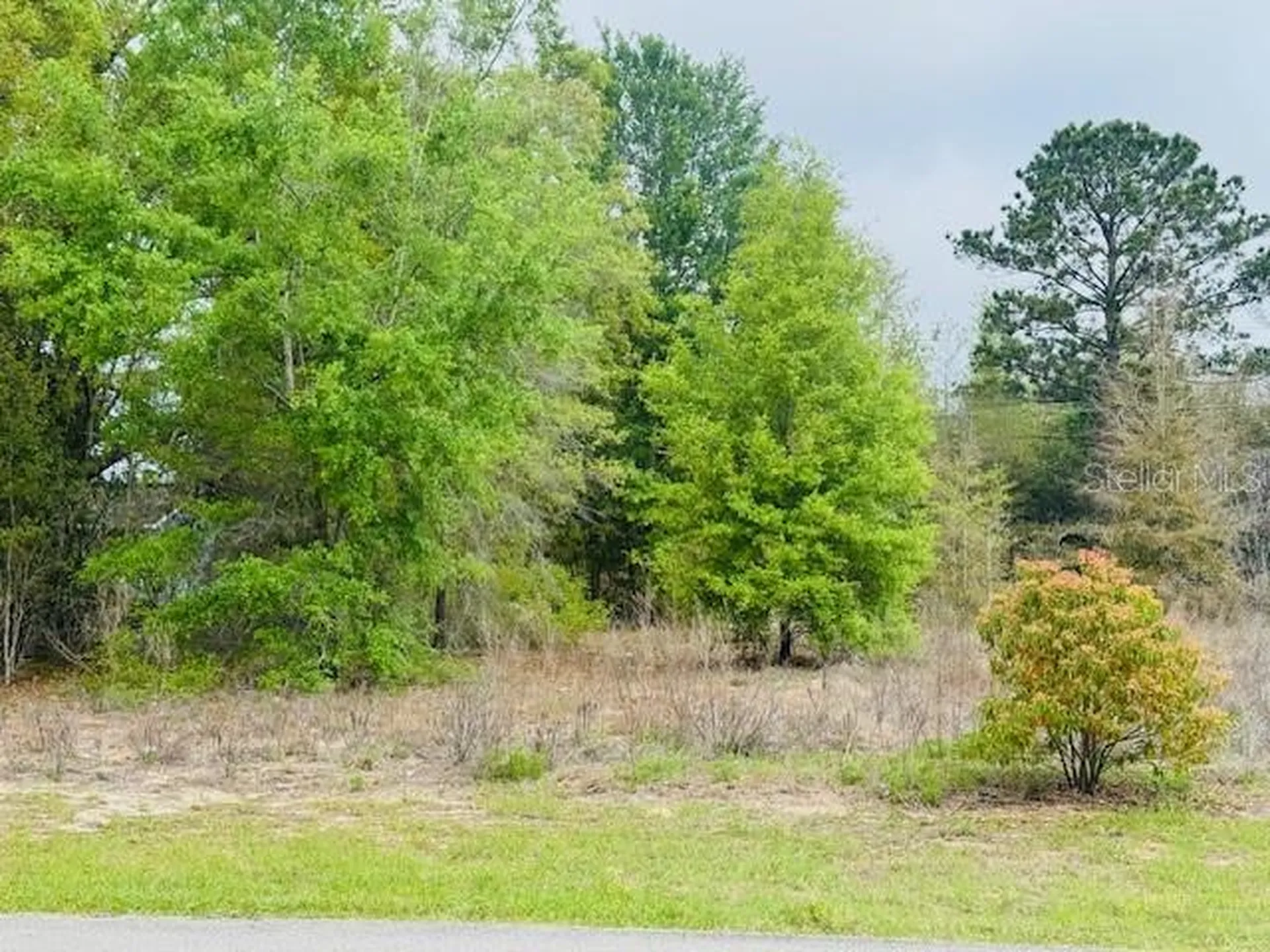SW 83rd Street Dunnellon FL 34431