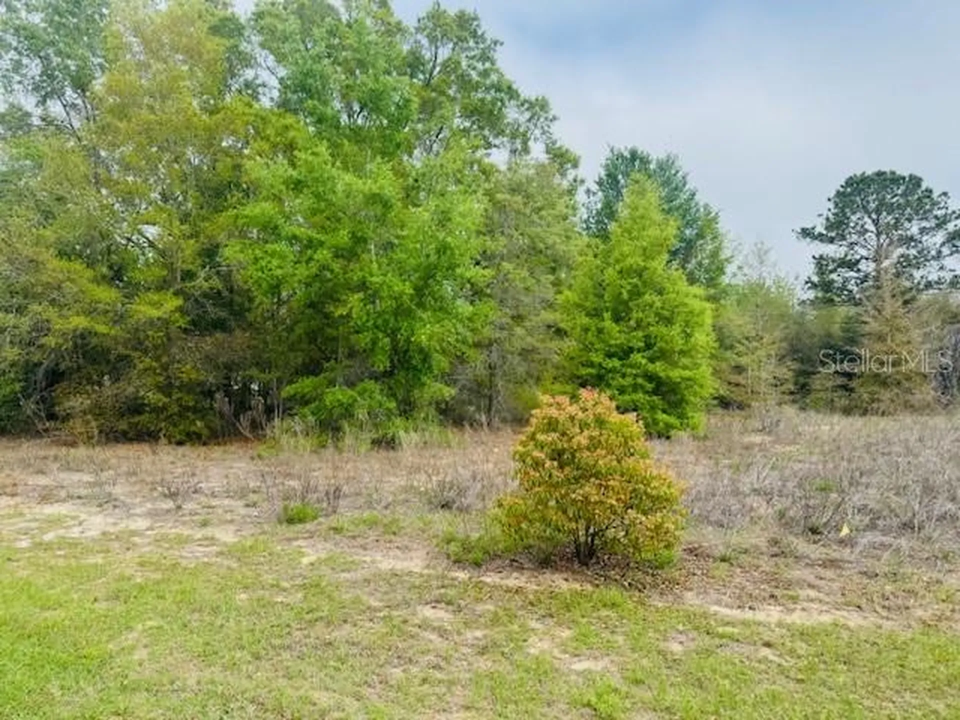 SW 83rd Street Dunnellon FL 34431