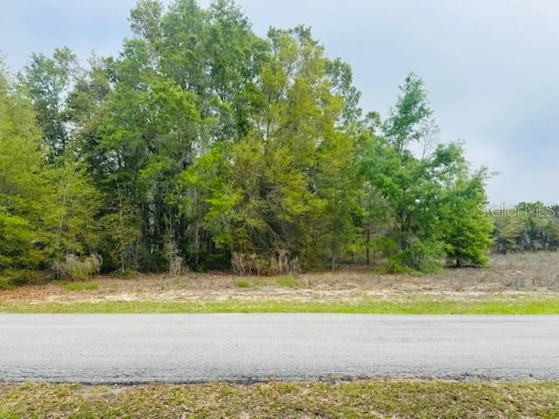 SW 83rd Street Dunnellon FL 34431