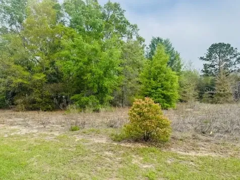 SW 83rd Street Dunnellon FL 34431
