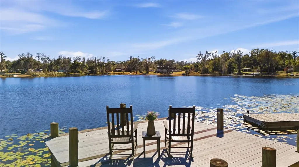 9214 Rhea Drive Odessa FL 33556