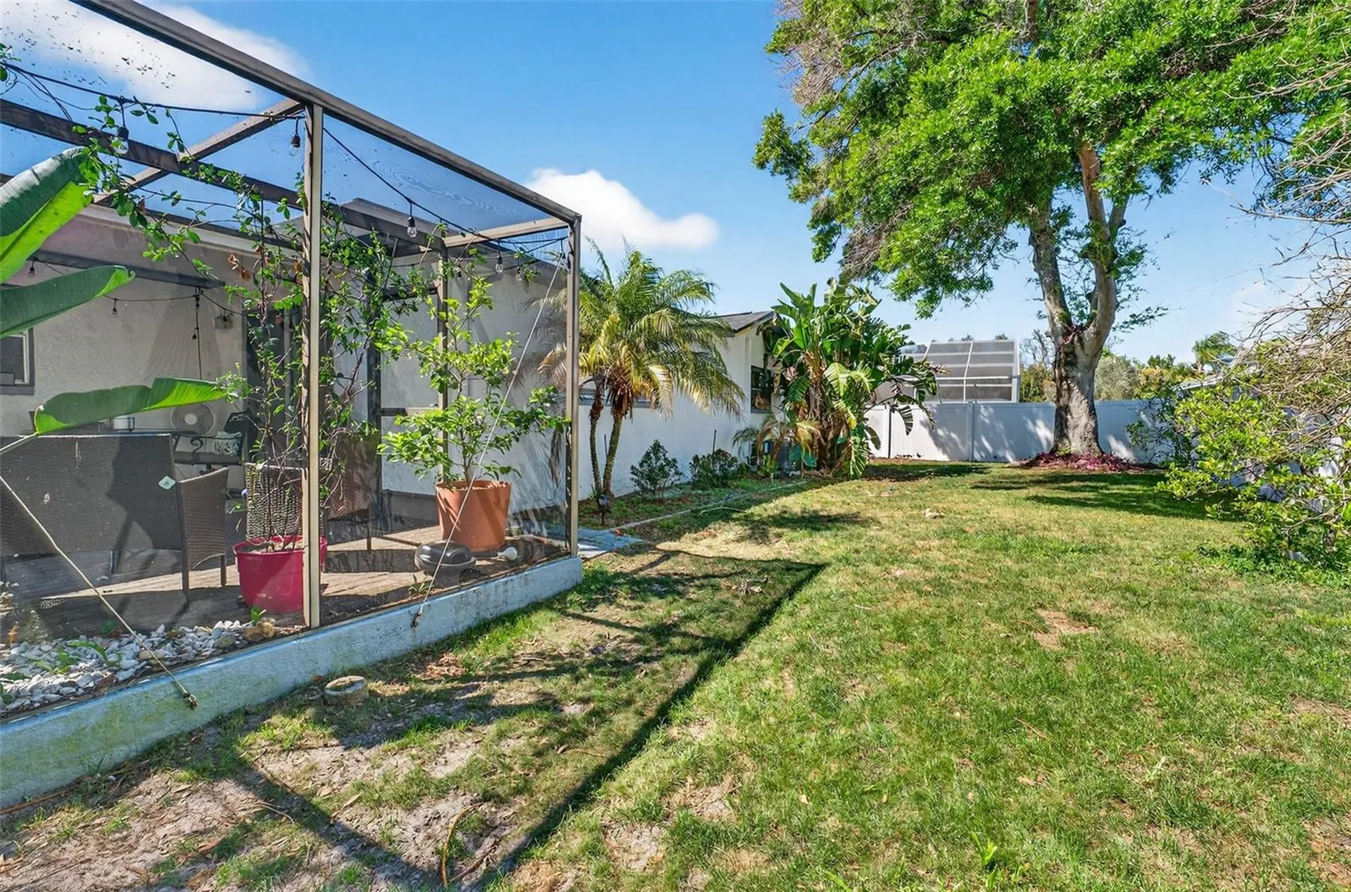1129 Forbes Trace Tarpon Springs FL 34689