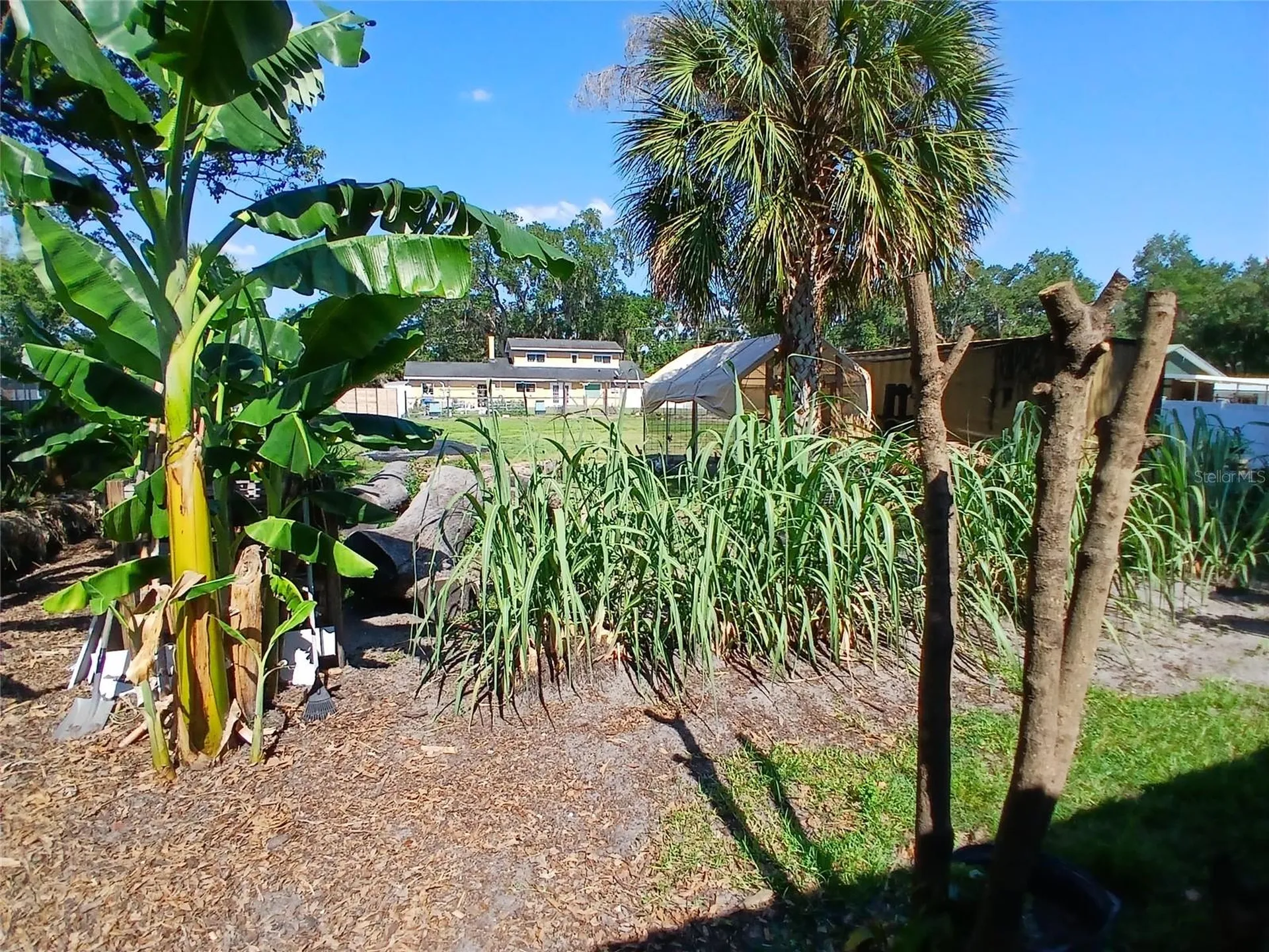 2211 New Jersey Road Lakeland FL 33803