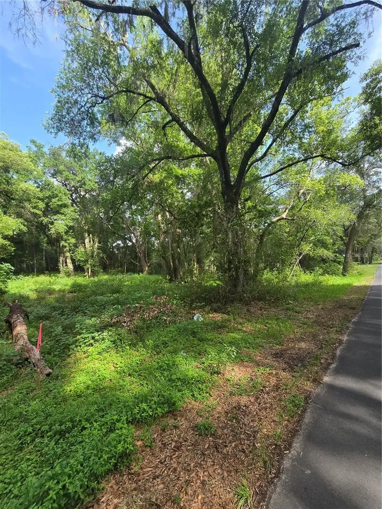 Tbd S St Clair Street Wildwood FL 34785