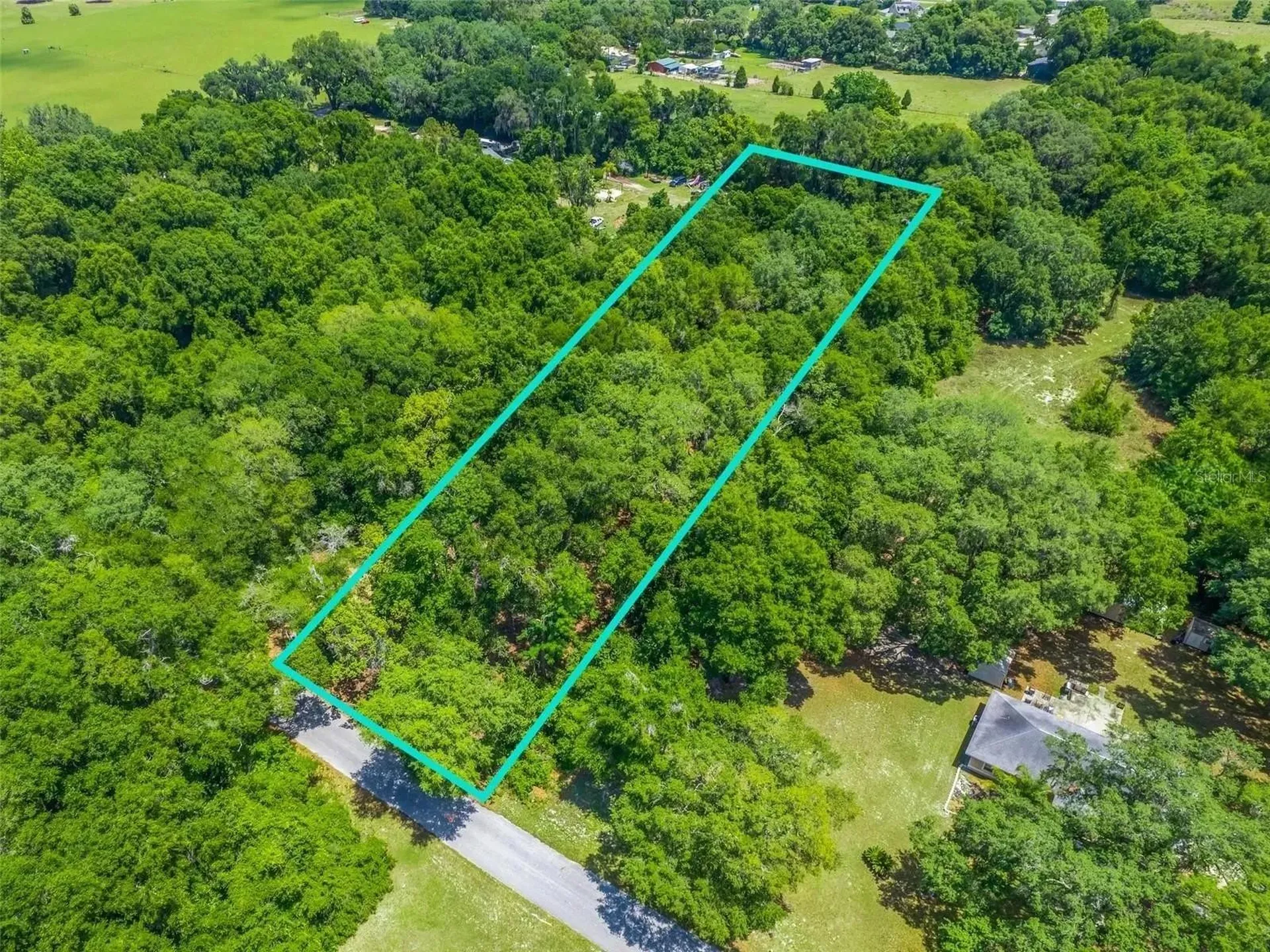 Tbd S St Clair Street Wildwood FL 34785