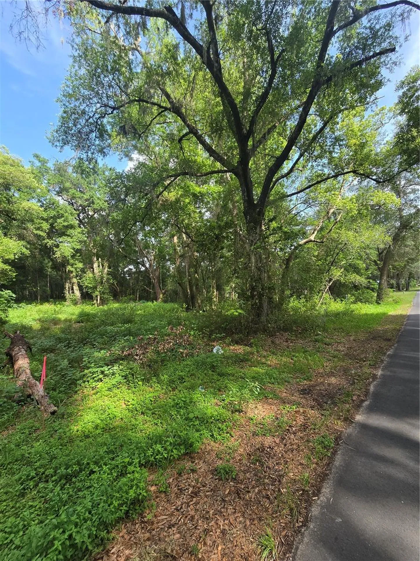 Tbd S St Clair Street Wildwood FL 34785