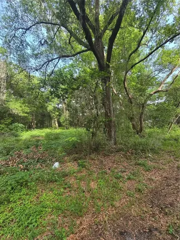 Tbd S St Clair Street Wildwood FL 34785