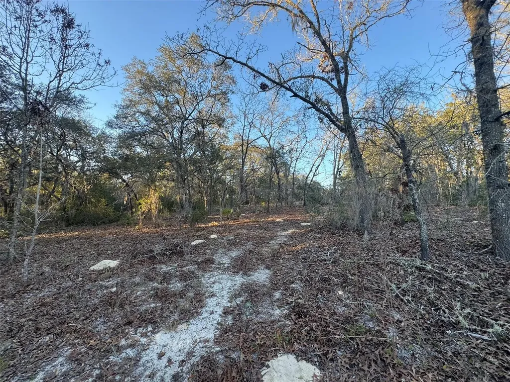 0 SW 147th Street Road Ocala FL 34473